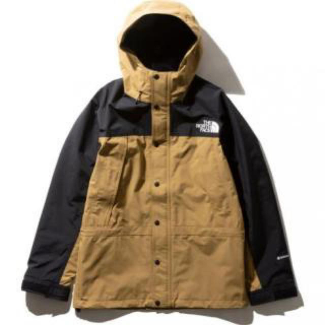 The North Face Mountain Light Jacket