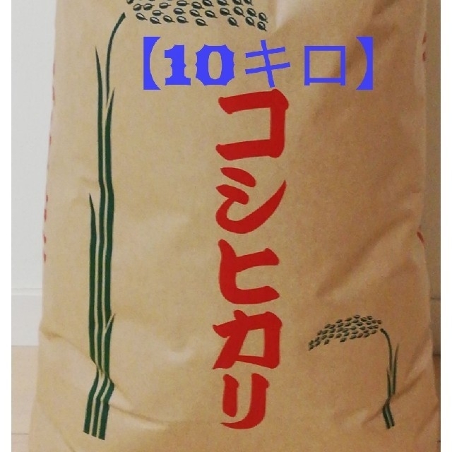 【季節限定商品】精米10kg【コシヒカリ】
格安訳あり令和元年産新米 
 食品/飲料/酒の食品(米/穀物)の商品写真