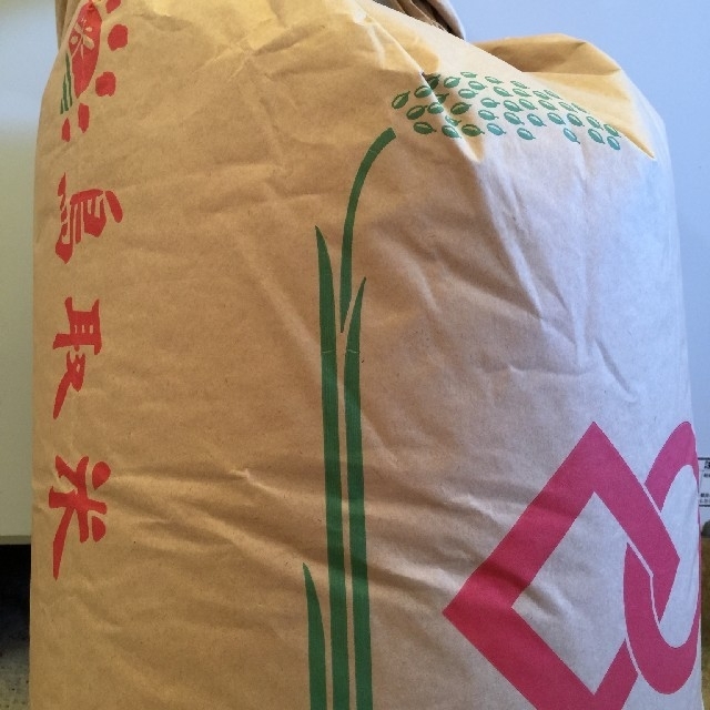 【季節限定商品】精米10kg【コシヒカリ】
格安訳あり令和元年産新米 
 食品/飲料/酒の食品(米/穀物)の商品写真