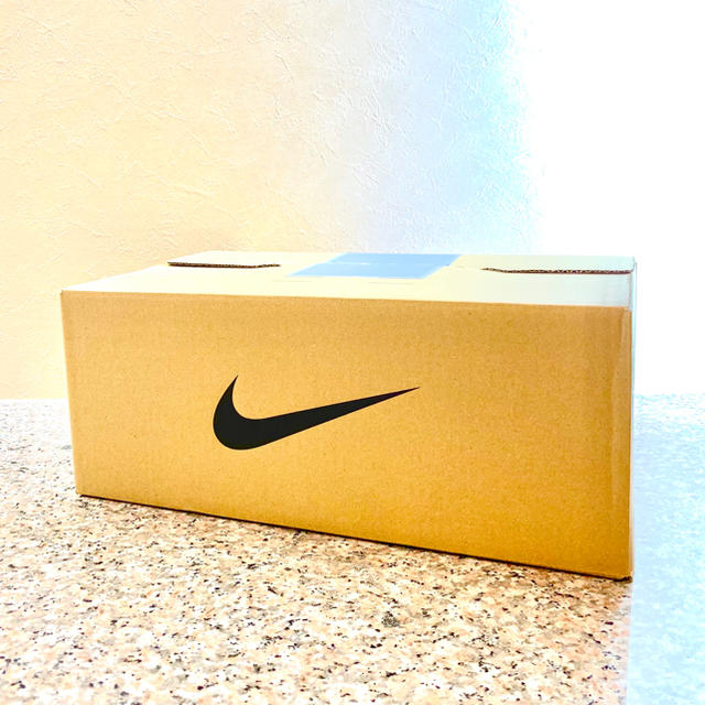 NIKE(ナイキ)の【確実正規品】NIKE AIR jordan 1 シャタバ 27.5cm メンズの靴/シューズ(スニーカー)の商品写真