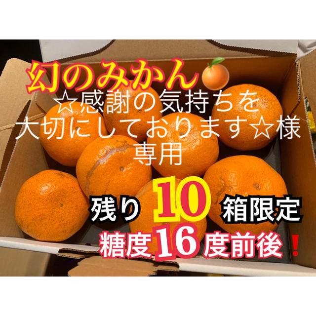 熊本県 幻の河内みかん 5kg 訳ありみかん5kg セットの通販 by はちみつ ...