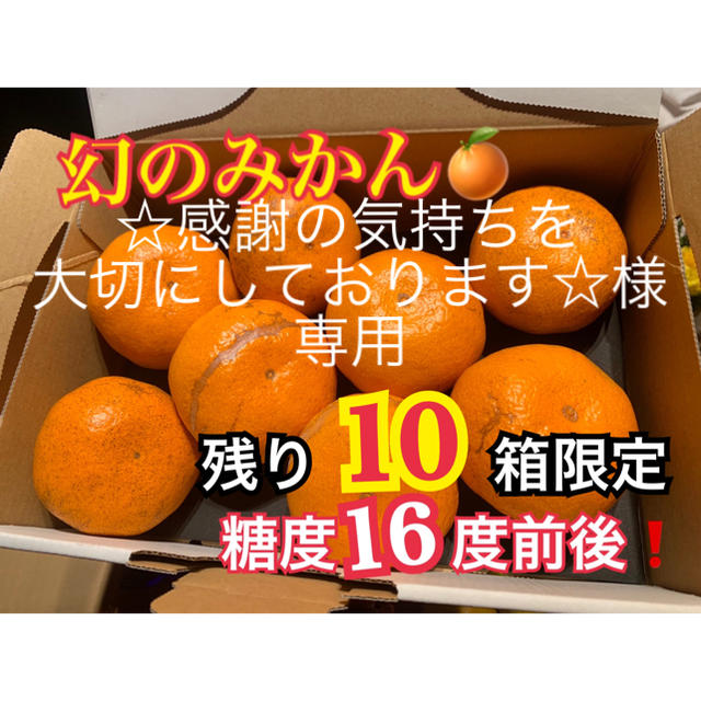 熊本県 幻の河内みかん 5kg  訳ありみかん5kg  セット 食品/飲料/酒の食品(フルーツ)の商品写真