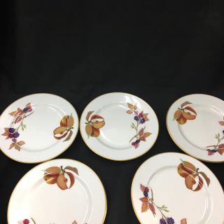 ロイヤルウースター(Royal Worcester)のロイヤルウースター　17センチ　5まい(食器)