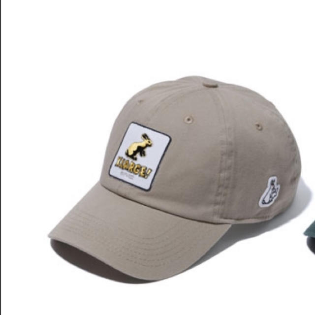 FR2 Xlarge Fxxk icon cap