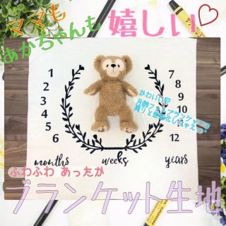 新品・未使用＊ めちゃかわ♡インスタ映え 月齢フォトシーツ ブランケット(アルバム)