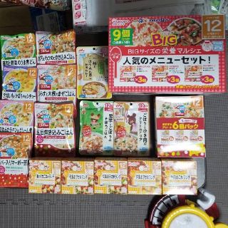 ワコウドウ(和光堂)の和光堂　ベビーフード　30食分(その他)