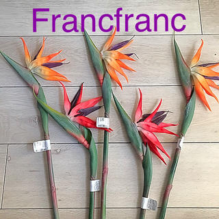 フランフラン(Francfranc)の再入荷❣️Francfrancアートフラワー　ストレチア 5本セット(その他)