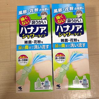 コバヤシセイヤク(小林製薬)のハナノア　鼻うがい(日用品/生活雑貨)