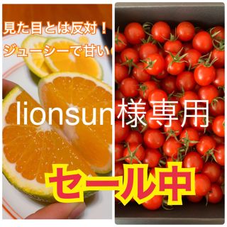 lionsun様専用　幻のみかん5kg  スイート5kg  キャロルセブン1kg(フルーツ)