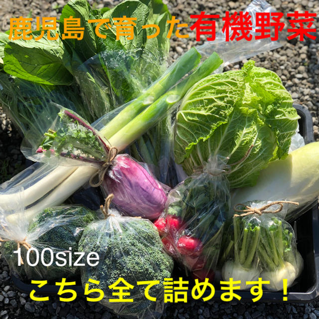 鹿児島で育った有機野菜詰め合わせ　100サイズ 食品/飲料/酒の食品(野菜)の商品写真