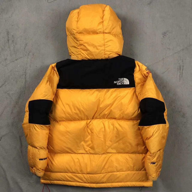 THE NORTH FACE ノースフェイス サミットシリーズ  700フィル