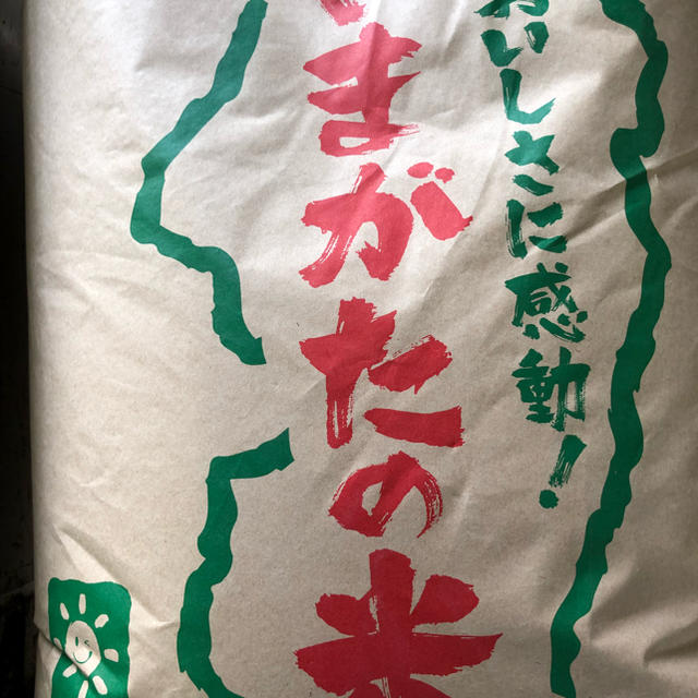 米/穀物送料込み　令和元年産　山形県産　はえぬき　減農薬栽培　白米24キロ