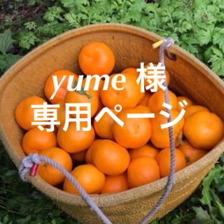 yume 様　専用ページ(フルーツ)