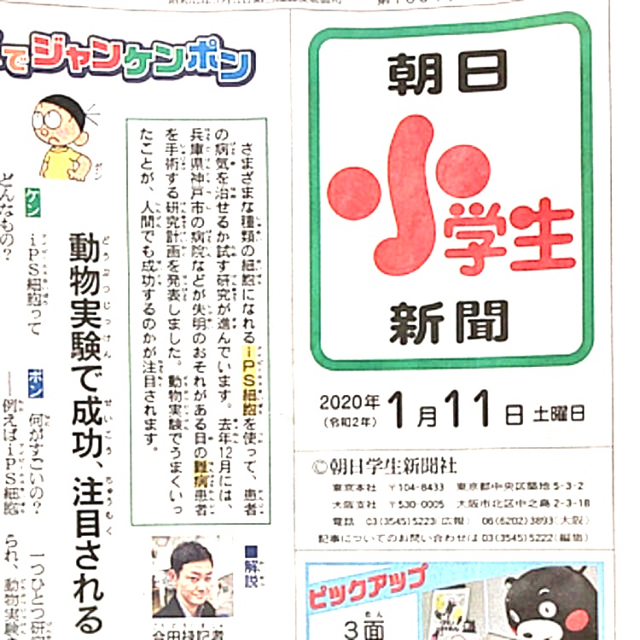 朝日新聞出版(アサヒシンブンシュッパン)の朝日小学生新聞　令和2年1月1日〜1月11日＋中学受験特集＋らんたろう新聞 エンタメ/ホビーの雑誌(ニュース/総合)の商品写真