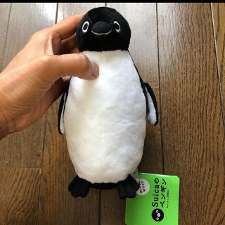 ジェイアール(JR)のSuicaのペンギンぬいぐるみ　Mサイズ(ぬいぐるみ)