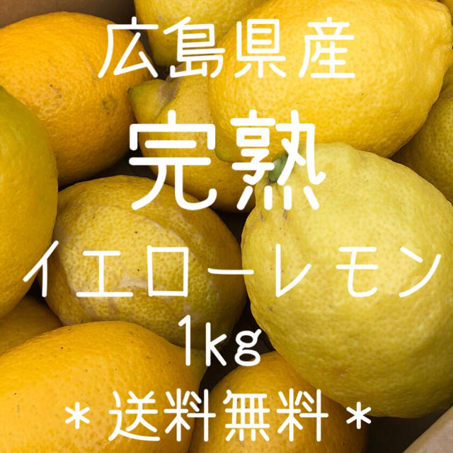 完熟レモン 1キロ 広島県 大崎上島産 瀬戸内 もぎたて ノーワックス 食品/飲料/酒の食品(フルーツ)の商品写真