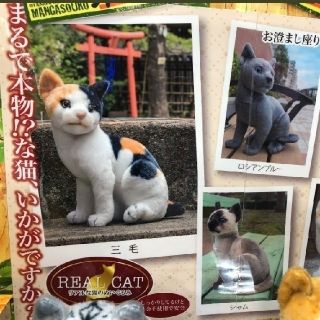 リアルな猫のぬいぐるみ　リアルキャット 茶トラ　猫