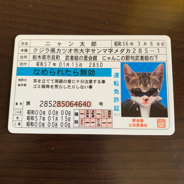 即日発送可能 激レア 人気のなめ猫 ニャン太郎 運転免許証 の通販 By ほっちょ S Shop ラクマ