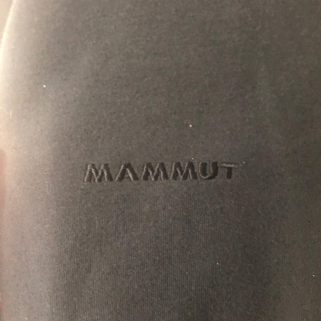 Mammut(マムート)のMAMMUT パーカー メンズのトップス(パーカー)の商品写真