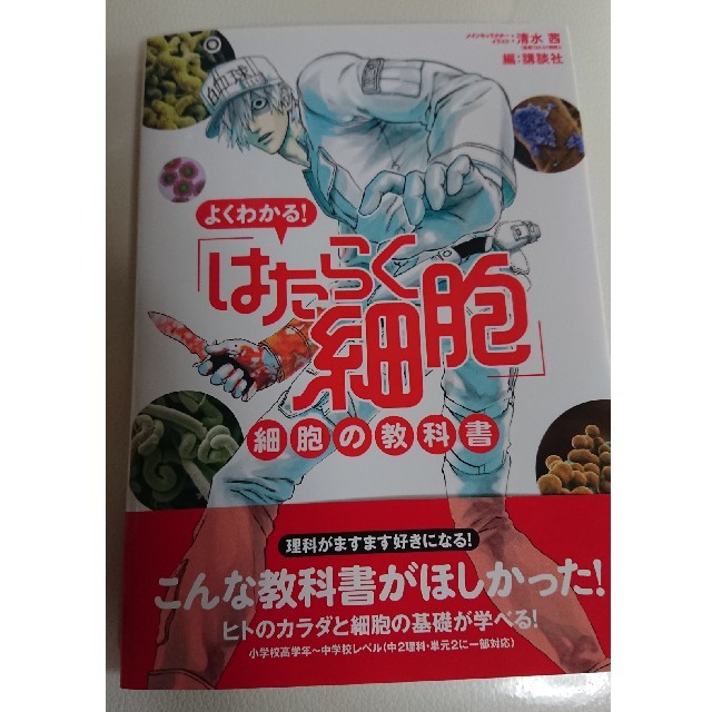 講談社(コウダンシャ)のよくわかる！ はたらく細胞 細胞の教科書 エンタメ/ホビーの本(健康/医学)の商品写真