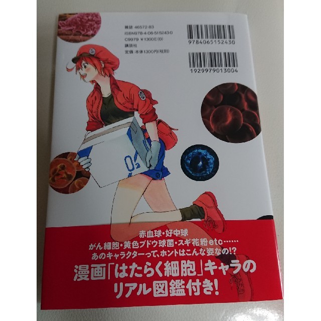 講談社(コウダンシャ)のよくわかる！ はたらく細胞 細胞の教科書 エンタメ/ホビーの本(健康/医学)の商品写真