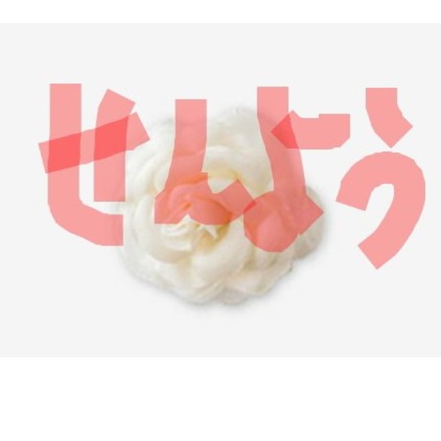 【お取り置き専用】水素美人　プラス　EX  74粒 コスメ/美容のダイエット(ダイエット食品)の商品写真