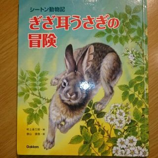 ガッケン(学研)の【sy♥様専用】ぎざ耳うさぎの冒険 シ－トン動物記(絵本/児童書)