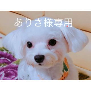 ありさ様　専用(菓子/デザート)