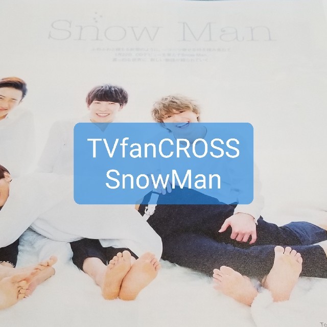 ジャニーズjr Tvfan Cross テレビファン クロス Vol 33 年 02の通販 By Mash S Shop ジャニーズジュニアならラクマ