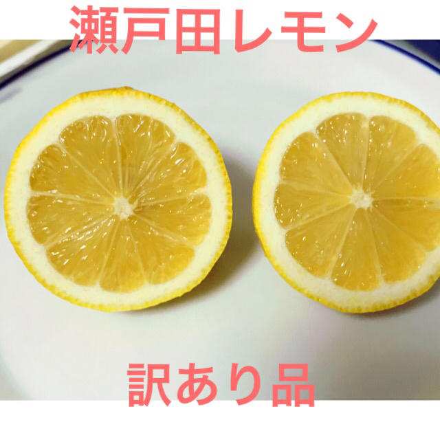 瀬戸田レモン　特別栽培レモン　ジュース品　5kg 食品/飲料/酒の食品(フルーツ)の商品写真