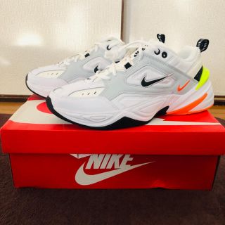 ナイキ(NIKE)のNIKE M2K TEKNO PURE PLATINUM(スニーカー)