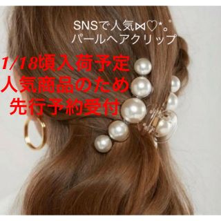 エイミーイストワール(eimy istoire)の先行予約✩売切必至✩パールクリップ✩人気✩インスタ映え✩ヘアクリップ✩ベージュ(バレッタ/ヘアクリップ)