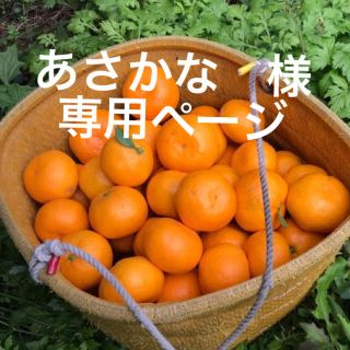 あさかな　様　専用ページ(フルーツ)