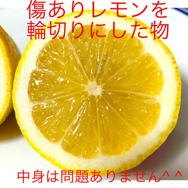 【もかっち様】瀬戸田レモン　特別栽培レモン　10キロ 食品/飲料/酒の食品(フルーツ)の商品写真