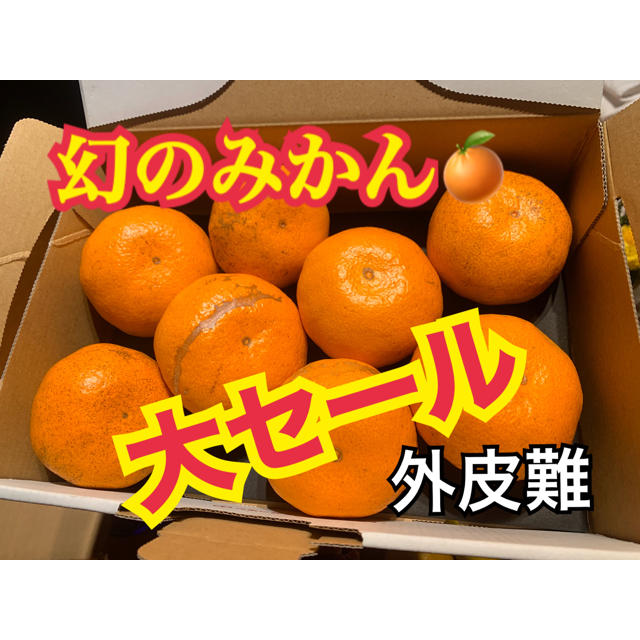 熊本県 訳あり❗️幻の河内みかん 3kg  ☆完熟無農薬ミカン☆ 農家直送 食品/飲料/酒の食品(フルーツ)の商品写真