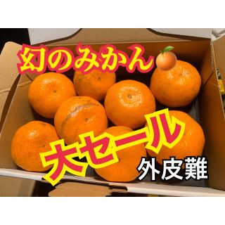 熊本県 訳あり❗️幻の河内みかん 3kg  ☆完熟無農薬ミカン☆ 農家直送(フルーツ)