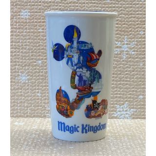 スターバックスコーヒー(Starbucks Coffee)のWDW マジックキングダム スタバ限定 タンブラー(タンブラー)