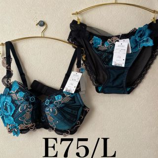 Wacoal - 新品希少E75サルート84大女優 オーラ プレステージの通販 ...