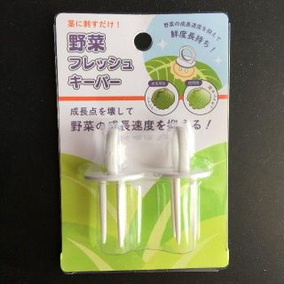 【新品】野菜フレッシュキーパー 野菜の鮮度長持ち!(調理道具/製菓道具)