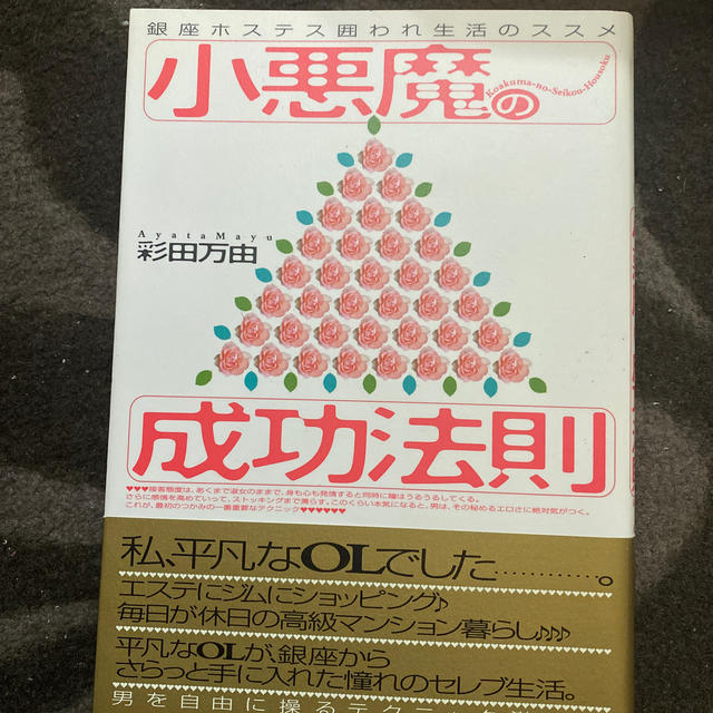 幻冬舎(ゲントウシャ)の小悪魔の成功法則 銀座ホステス囲われ生活のススメ エンタメ/ホビーの本(人文/社会)の商品写真