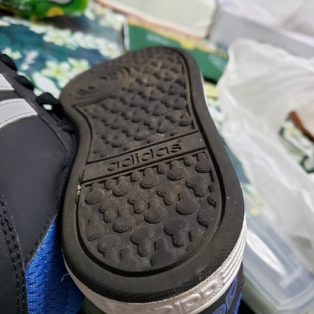 adidas(アディダス)の19センチの、アディダスとブルーキャンパス布の子供のスニーカー キッズ/ベビー/マタニティのキッズ靴/シューズ(15cm~)(スニーカー)の商品写真