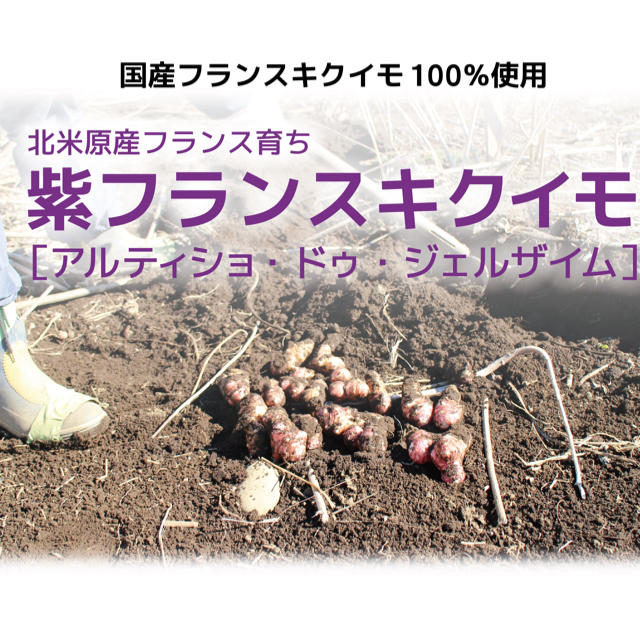 フランス菊芋パウダー　１００g×２SET  限定価格１９００円 食品/飲料/酒の健康食品(その他)の商品写真