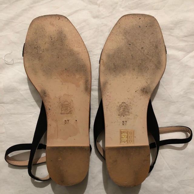 PELLICO(ペリーコ)のPELLICO SUNNY ストラップサンダル レディースの靴/シューズ(サンダル)の商品写真