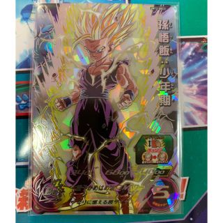 ドラゴンボール(ドラゴンボール)のドラゴンボールヒーローズ　たーさま専用(シングルカード)