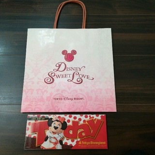 ディズニー(Disney)の東京ディズニーランド☆お土産専用紙袋＆Today(ショップ袋)