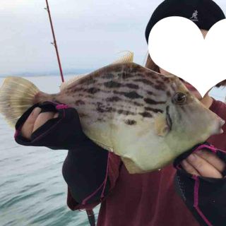 小さく高照度なLED水中集魚ライト　２個＋１個サービス(その他)