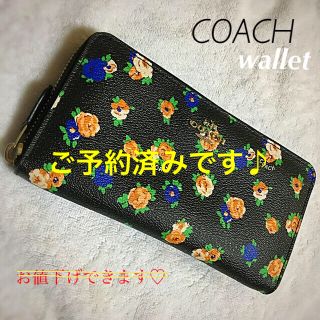 コーチ(COACH)のコーチ/ブラック財布/フラワー柄♡(財布)