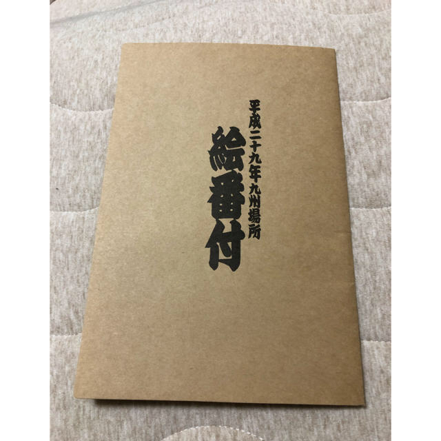 平成29年九州場所絵番付☆大相撲☆保存良し スポーツ/アウトドアのスポーツ/アウトドア その他(相撲/武道)の商品写真