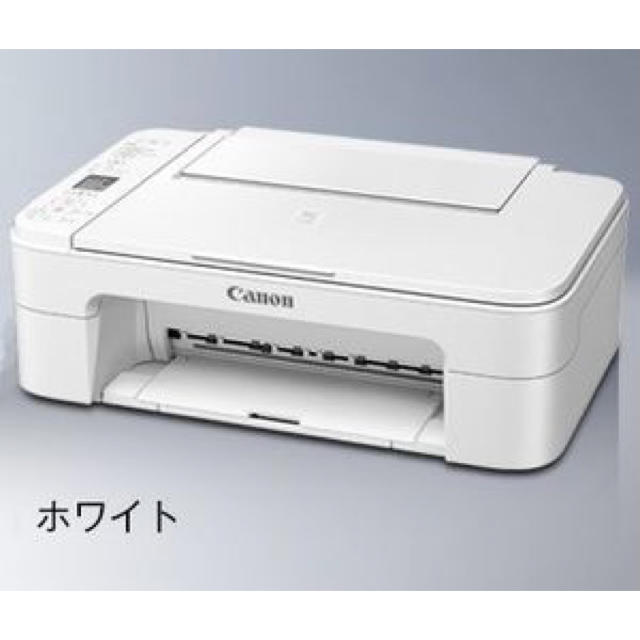 新品 未使用 インク同梱 Canonプリンター Claudia Steiner At