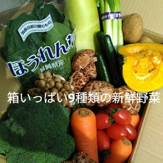 美味しい九州産✨70〜80サイズ新鮮冬野菜9種類を箱いっぱい詰め合わせセット✨(野菜)